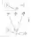 Fig. 02 - ANALOG BEAMFORMING FOR WI-FI DEVICES