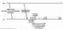 Fig. 01 - Semi-persistent scheduling in a wireless network