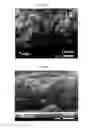 Fig. 09 - Metallic nano structure, method of fabricating the same, and electrical apparatus having the same