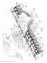 Fig. 02 - Ground-engaging implement with lateral position adjustment