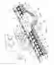 Fig. 02 - Ground-engaging implement with lateral position adjustment