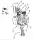 Fig. 04 - Hedge trimmer with a dual gear setting