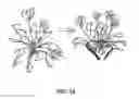 Fig. 04 - Plant labeling system and garden tools