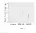 Fig. 12 - Methods and systems for growing plants using silicate-based substrates, cultivation of enhanced photosynthetic productivity and photosafening by utilization of exogenous glycopyranosides for endogenous glycopyranosyl-protein derivatives, and formulations, process and systems for the same