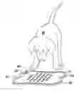Fig. 01 - FEEDING PLATTER FOR PETS
