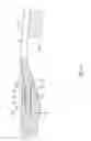 Fig. 07 - TOOTHBRUSH WITH A REPLACEABLE FUNCTION PART