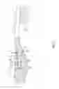 Fig. 08 - TOOTHBRUSH WITH A REPLACEABLE FUNCTION PART