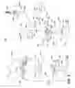 Fig. 09 - Surface cleaning apparatus
