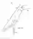 Fig. 29 - Systems, devices, and methods for performing surgical actions via externally driven driving assemblies
