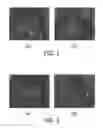 Fig. 02 - METHOD AND SYSTEM FOR THE ADMINISTRATION OF ORAL CARE PARTICLES