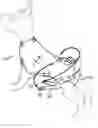Fig. 01 - BODYSUIT FOR ANIMALS