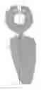 Fig. 01 - Prosthesis for inguinal hernioplasty