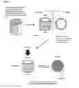 Fig. 02 - Decellularized biologically-engineered tubular grafts