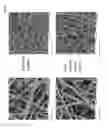 Fig. 02 - COMPOSITIONS COMPRISING ELECTROHYDRODYNAMICALLY OBTAINED FIBRES FOR ADMINISTRATION OF SPECIFIC DOSAGES OF AN ACTIVE SUBSTANCE TO SKIN OR MUCOSA