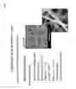 Fig. 06 - COMPOSITIONS COMPRISING ELECTROHYDRODYNAMICALLY OBTAINED FIBRES FOR ADMINISTRATION OF SPECIFIC DOSAGES OF AN ACTIVE SUBSTANCE TO SKIN OR MUCOSA