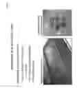 Fig. 09 - COMPOSITIONS COMPRISING ELECTROHYDRODYNAMICALLY OBTAINED FIBRES FOR ADMINISTRATION OF SPECIFIC DOSAGES OF AN ACTIVE SUBSTANCE TO SKIN OR MUCOSA