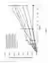 Fig. 02 - TRANSDERMAL PATCHES