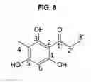 Fig. 08 - Pharmaceutical composition for preventing or treating Alzheimer's disease