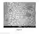 Fig. 06 - Composition, method of manufacture, and use of site-specific delivery of bruceolides for treatment of cancer and other diseases