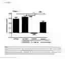 Fig. 02 - SUBACUTE ADMINISTRATION OF NMDA MODULATORS ALONE OR IN COMBINATION