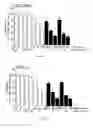 Fig. 02 - COMPOSITIONS AND METHODS RELATING TO CANCER