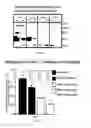 Fig. 07 - COMPOSITIONS AND METHODS RELATING TO CANCER