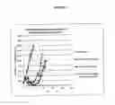 Fig. 05 - Administration of NEDD8-activating enzyme inhibitor and chemotherapeutic agents