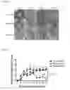 Fig. 02 - Rejection reaction suppressant