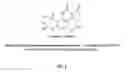 Fig. 02 - Aptamers for mycotoxin detoxification