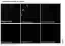 Fig. 43 - Modulation of ciliogenesis