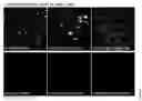 Fig. 45 - Modulation of ciliogenesis