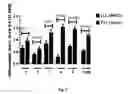 Fig. 04 - Organs for transplantation