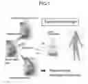 Fig. 02 - Composition for treatment of damaged part