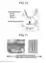 Fig. 09 - Composition for treatment of damaged part