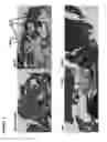 Fig. 02 - OSTEOGENIC GRAFT FORMING UNIT