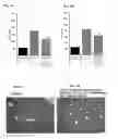 Fig. 09 - Prophylactic and/or therapeutic agent for NAFLD/NASH