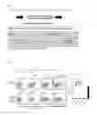 Fig. 02 - EBV antigen specific T-cell receptor and use thereof