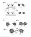 Fig. 03 - Compositions and methods for adjoining type I and type II extracellular domains as heterologous chimeric proteins