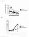 Fig. 07 - Compositions and methods for adjoining type I and type II extracellular domains as heterologous chimeric proteins