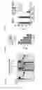 Fig. 08 - Compositions and methods for adjoining type I and type II extracellular domains as heterologous chimeric proteins