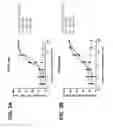 Fig. 06 - Immunoconjugates