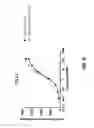 Fig. 09 - Immunoconjugates
