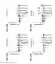Fig. 33 - Immunoconjugates