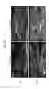 Fig. 44 - COMPOSITIONS AND METHODS FOR IMPROVING HEART FUNCTION AND TREATING HEART FAILURE