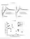 Fig. 49 - COMPOSITIONS AND METHODS FOR IMPROVING HEART FUNCTION AND TREATING HEART FAILURE