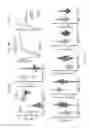 Fig. 53 - COMPOSITIONS AND METHODS FOR IMPROVING HEART FUNCTION AND TREATING HEART FAILURE