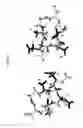 Fig. 16 - EPITOPES IN AMYLOID BETA AND CONFORMATIONALLY-SELECTIVE ANTIBODIES THERETO