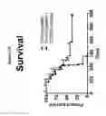 Fig. 22 - CD200 inhibitors and methods of use thereof