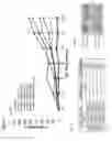 Fig. 07 - Vaccines against an oncogenic isoform of ESR1 and methods of using the same