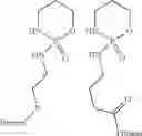 Fig. 07 - Cyclophosphamide analogs for use as immunogens and assay conjugates for an immunoassay of cyclophosphamide and ifosfamide